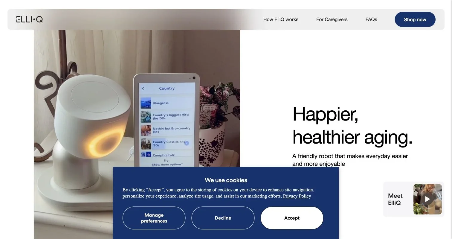 AI Companion Robots for Elderly Users: Guide